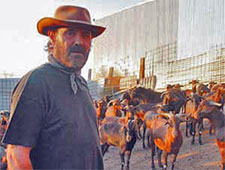 Cabrero