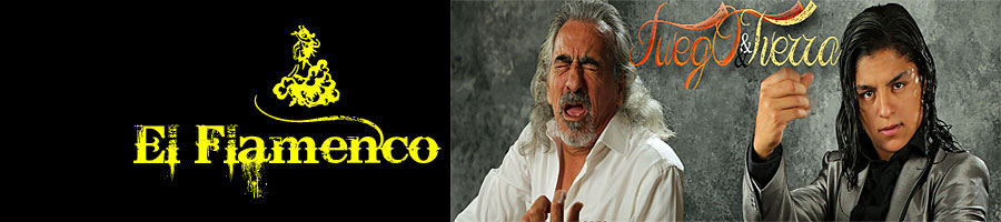 carpeta - capullo