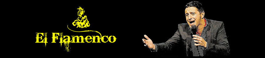 david palomar