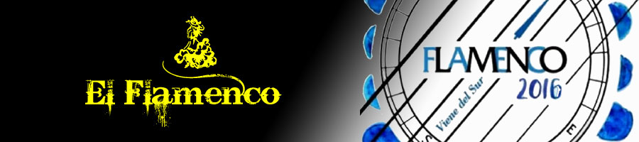 flamenco viene del sur