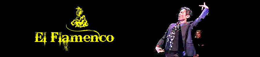 flamencosaka