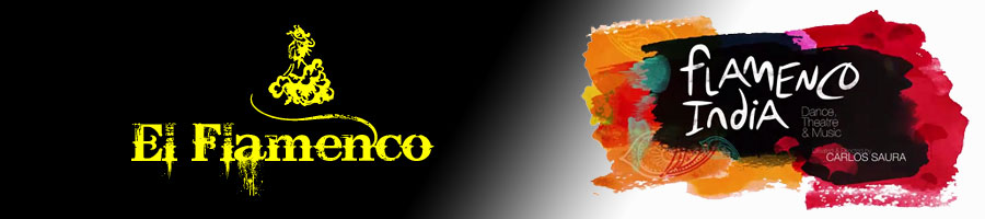 flamenco-india