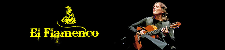 vicente amigo