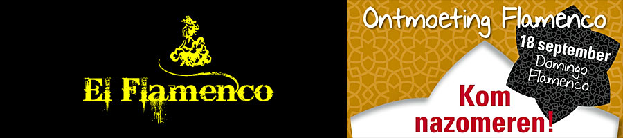flamenco-ontmoeting