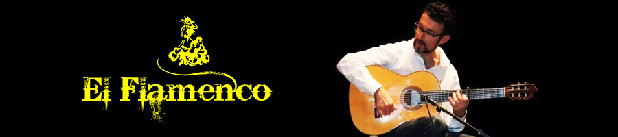 gitarist