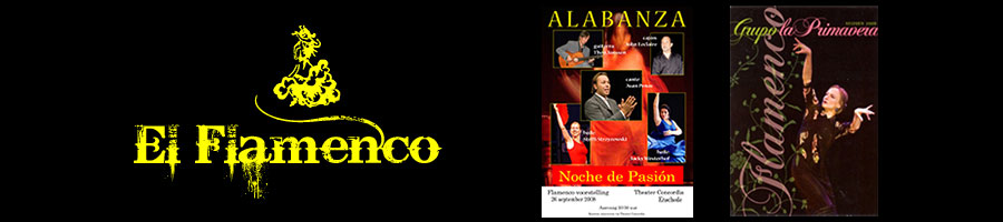 Flamenco-optredens in Nederland eo