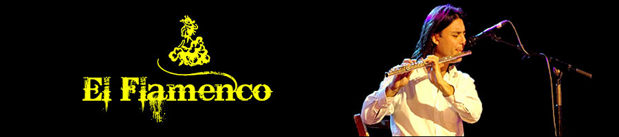 Domingo Patricio