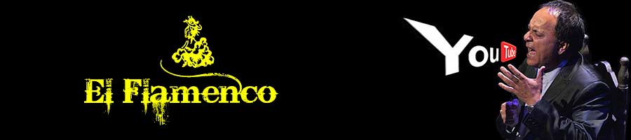 Video's van flamencozangers