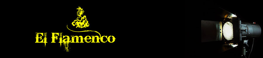 Video's van flamencoartiesten