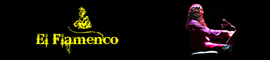 Diego Amador; flamenco-pianist