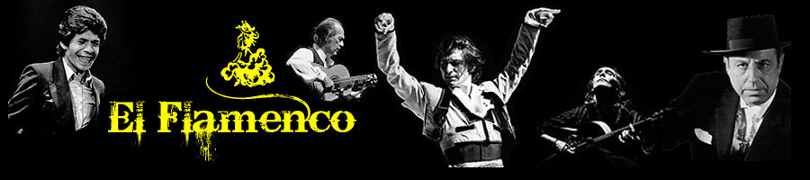 flamenco canon mensen