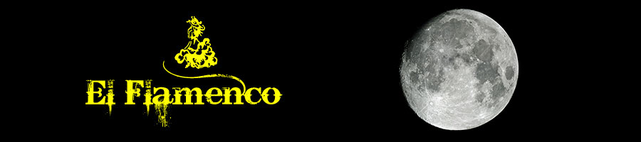 flamencogeschiedenis versie 1