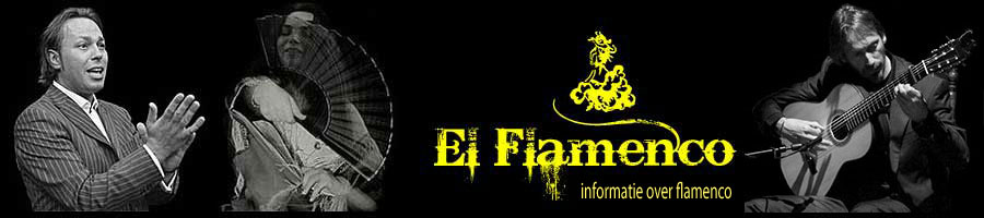 homepage El Flamenco.nl