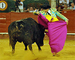 El fandi
