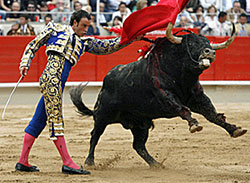 Finito de Córdoba