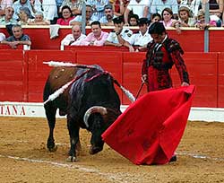 Javier Conde