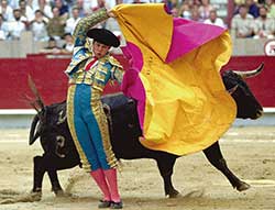 El Juli