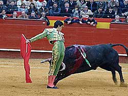 Miguel Angel Perera