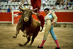 Enrique Ponce