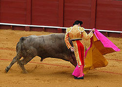 Enrique Ponce