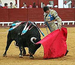 Manzanares