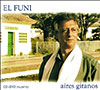 Aires Gitanos
