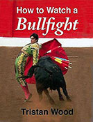 How to watch a bullfight