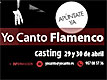 yo canto flamenco