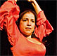 flamenco