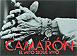 camaron