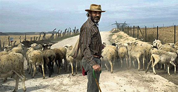 cabrero