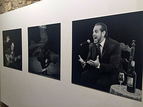 expositie
