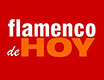 flamenco hoy