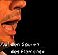 duitse docu